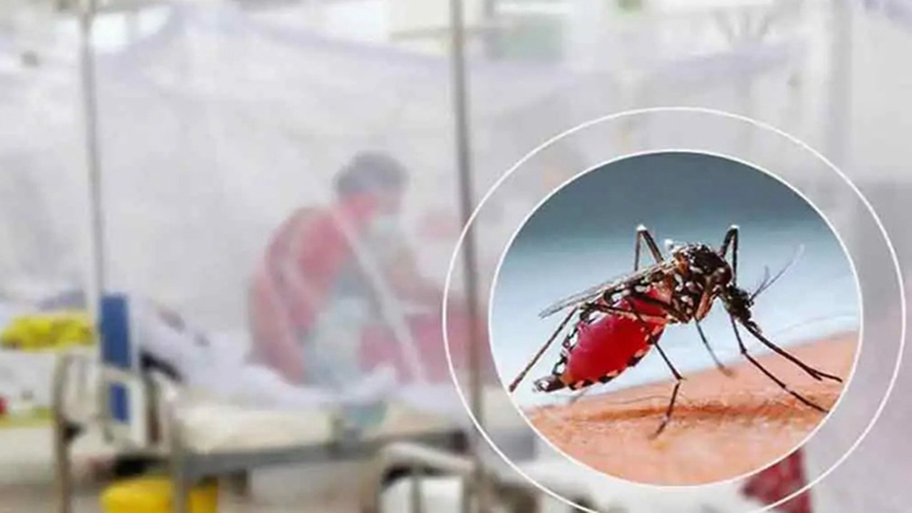 ২৪ ঘন্টায় ডেঙ্গুতে আরও ১ জনের মৃত্যু